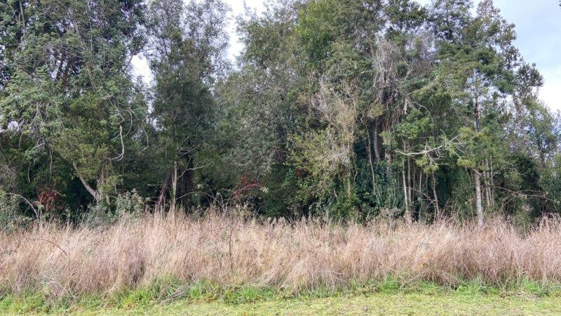 Parcela en venta en Puerto Varas — foto 4