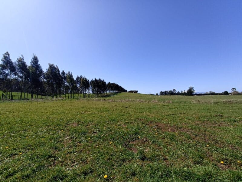 Parcela en venta en Llanquihue — foto 10