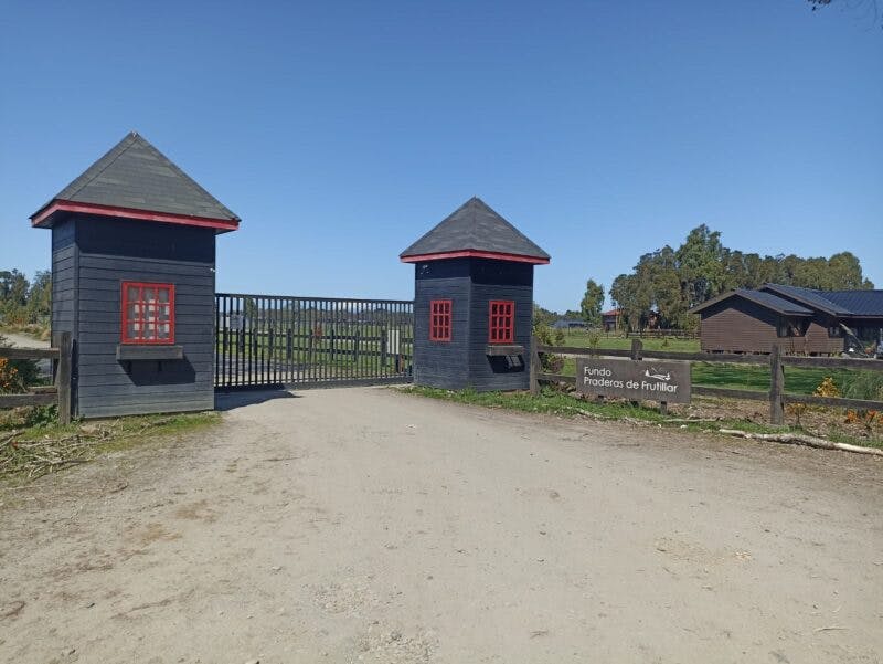 Parcela en venta en Frutillar — foto 5