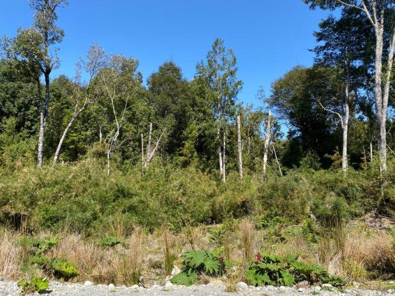Parcela en venta en Puerto Montt — foto 7