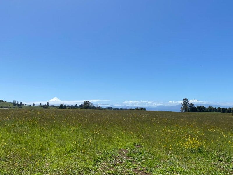 Parcela en venta en Llanquihue — foto 1