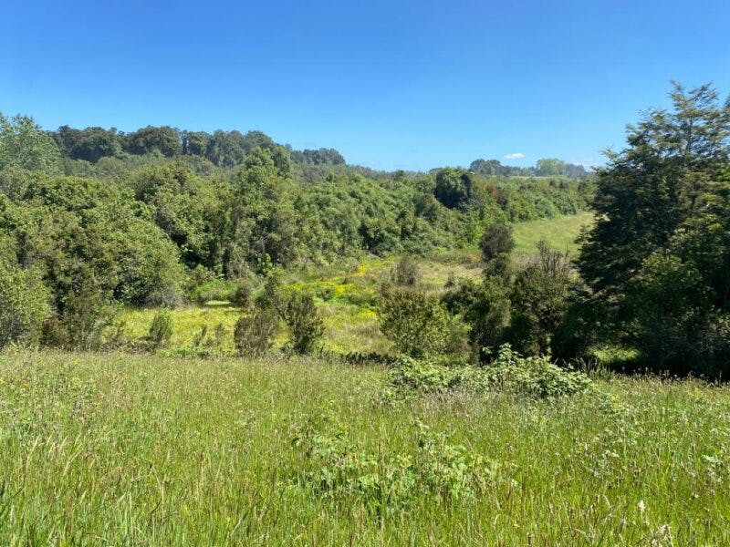 Parcela en venta en Llanquihue — foto 4