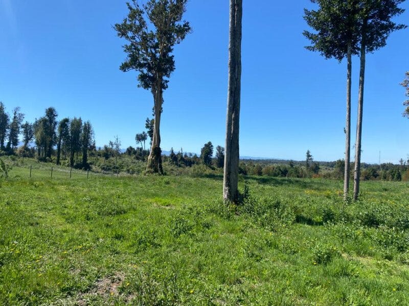 Parcela en venta en Puerto Varas — foto 3