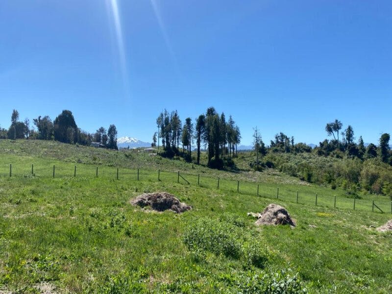 Parcela en venta en Puerto Varas — foto 5