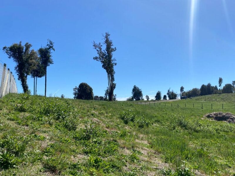 Parcela en venta en Puerto Varas — foto 6