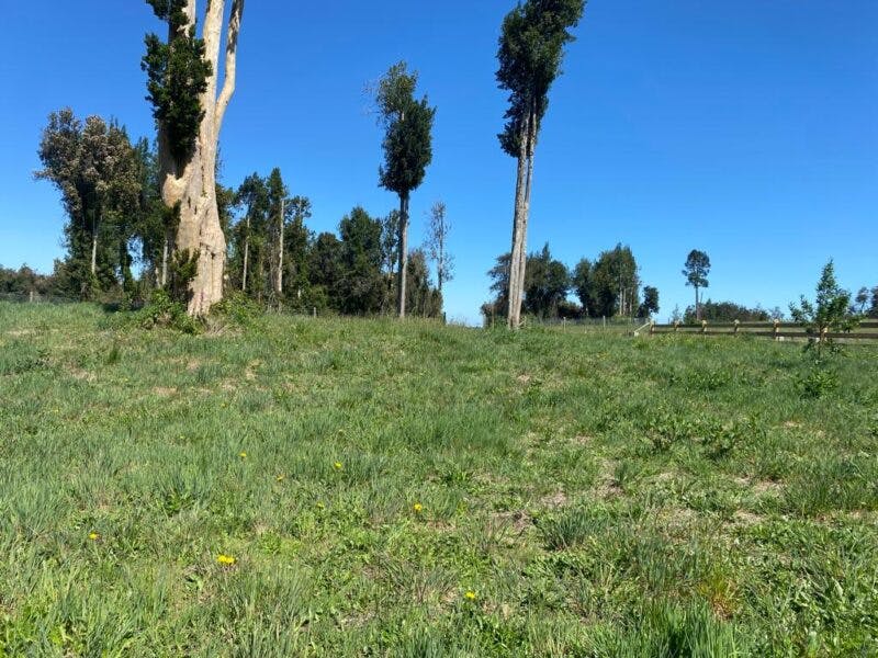 Parcela en venta en Puerto Varas — foto 8