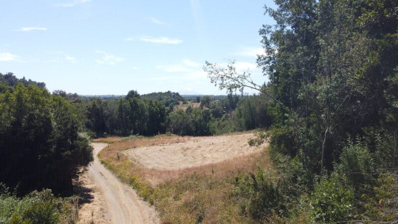 Parcela en venta en Puerto Varas — foto 3