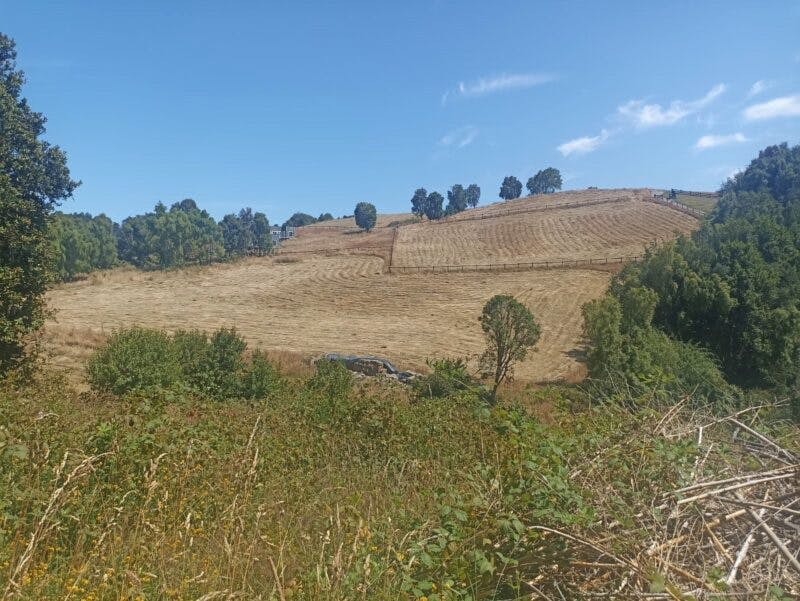 Parcela en venta en Puerto Varas — foto 6