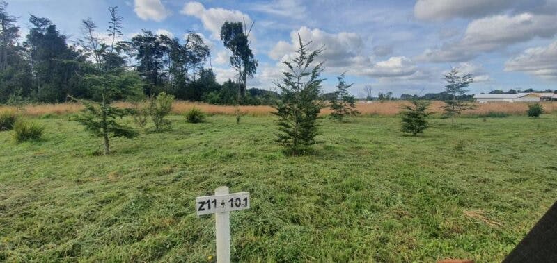 Parcela en venta en Frutillar — foto 3