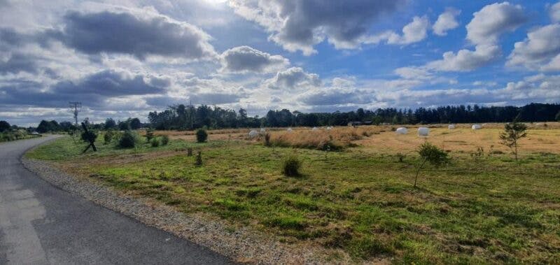 Parcela en venta en Frutillar — foto 4
