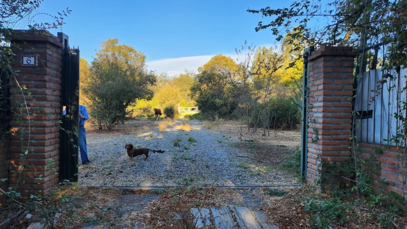 Parcela en venta en Mostazal — foto 4