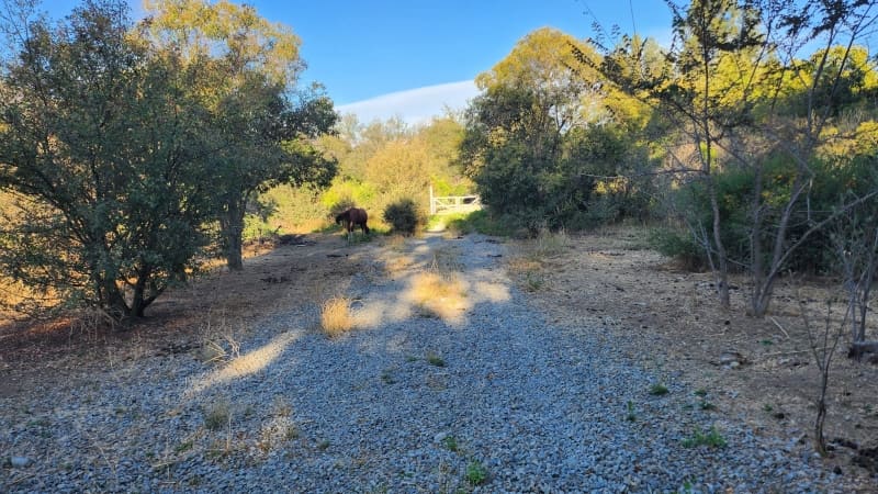 Parcela en venta en Mostazal — foto 5