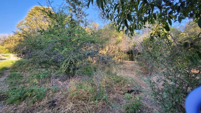Parcela en venta en Mostazal — foto 8