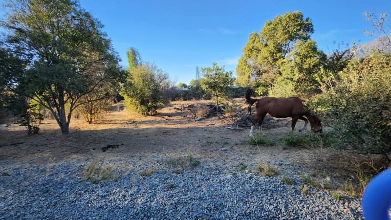 Parcela en venta en Mostazal — foto 10