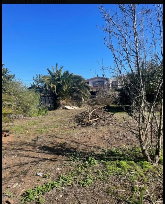 Terreno en venta en Zapallar — foto 6