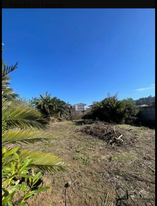 Terreno en venta en Zapallar — foto 7
