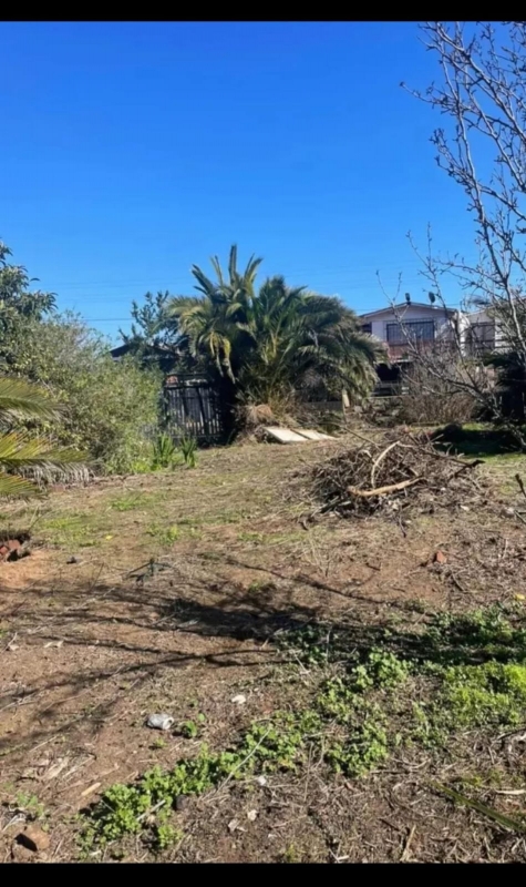 Terreno en venta en Zapallar — foto 10