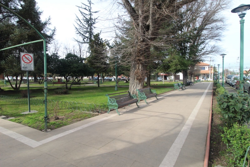 Parcela en venta en Olivar — foto 4