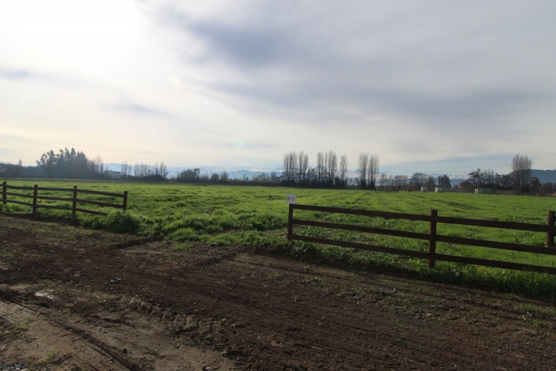 Parcela en venta en Olivar — foto 5