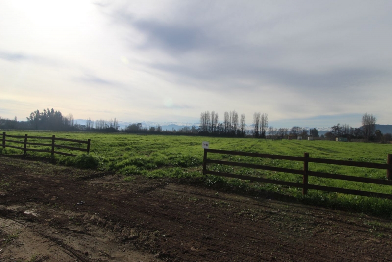 Parcela en venta en Olivar — foto 9