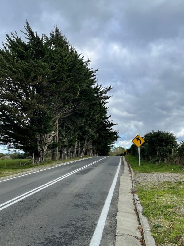 Parcela en venta en Puerto Varas — foto 8