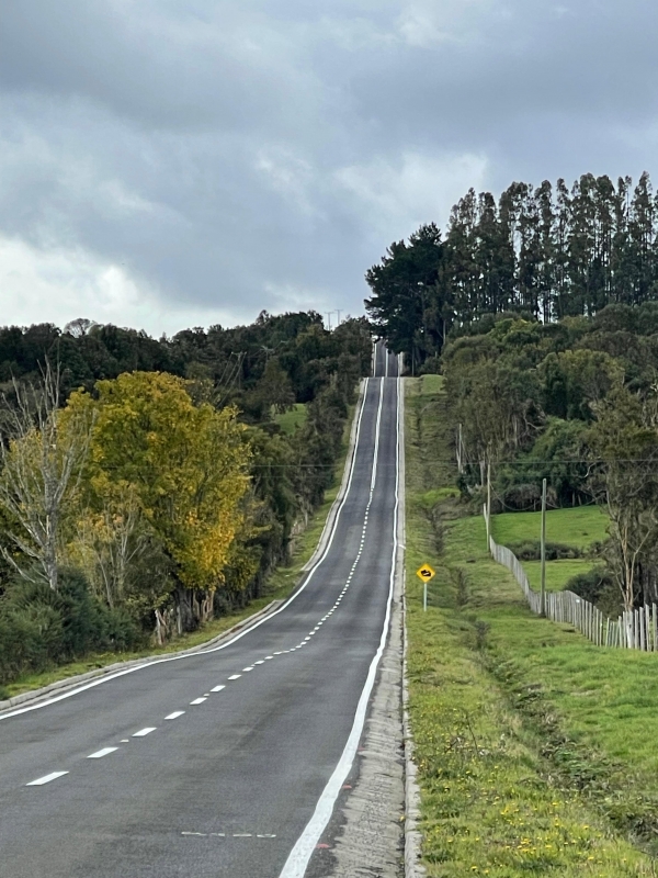 Parcela en venta en Puerto Varas — foto 10