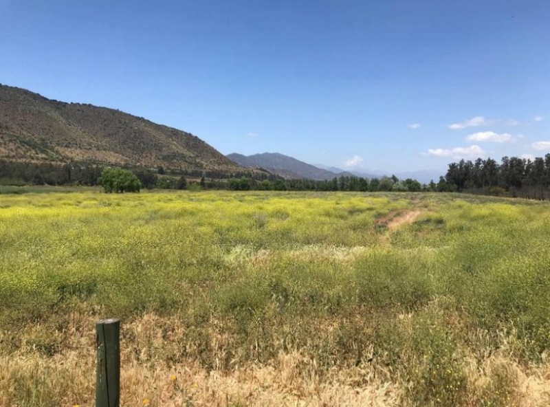 Parcela en venta en Codegua — foto 1