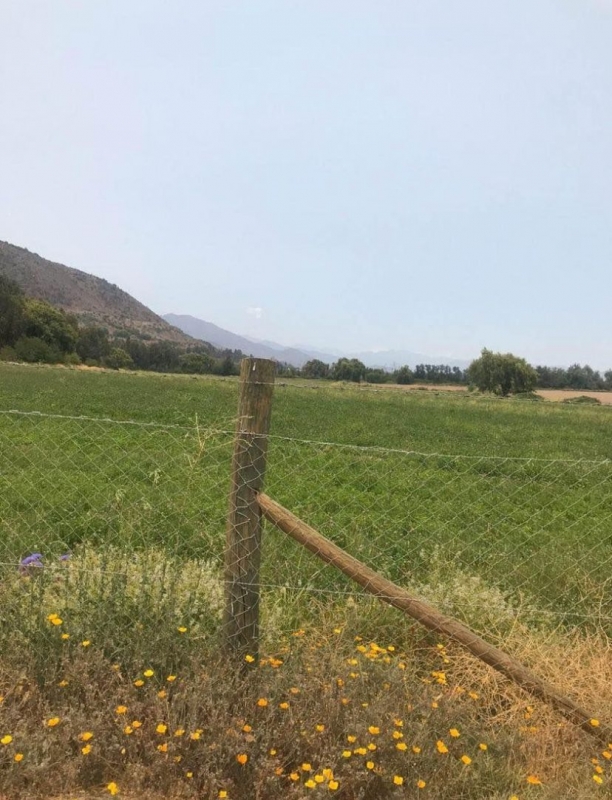 Parcela en venta en Codegua — foto 4