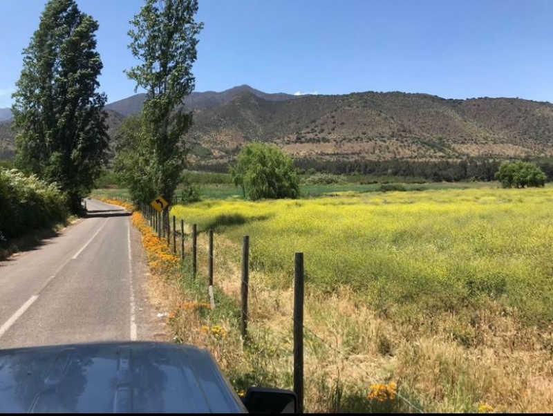 Parcela en venta en Codegua — foto 5