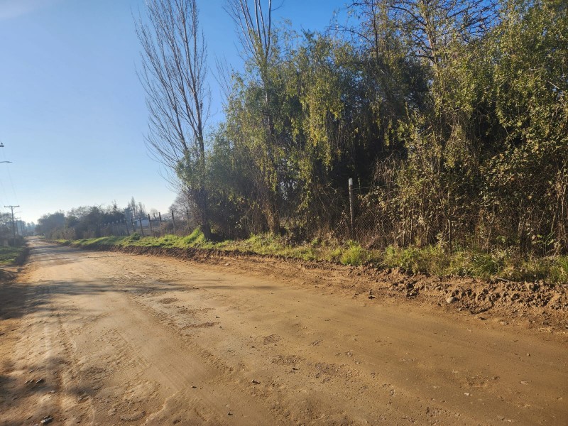 Parcela en venta en Peralillo — foto 2
