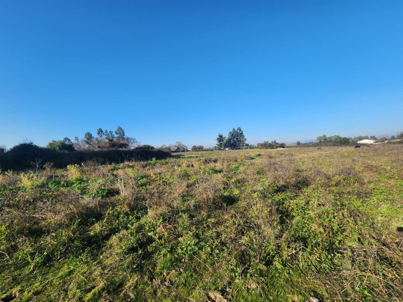Parcela en venta en Peralillo — foto 3