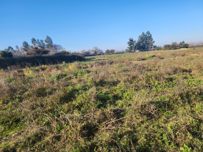 Parcela en venta en Peralillo — foto 4