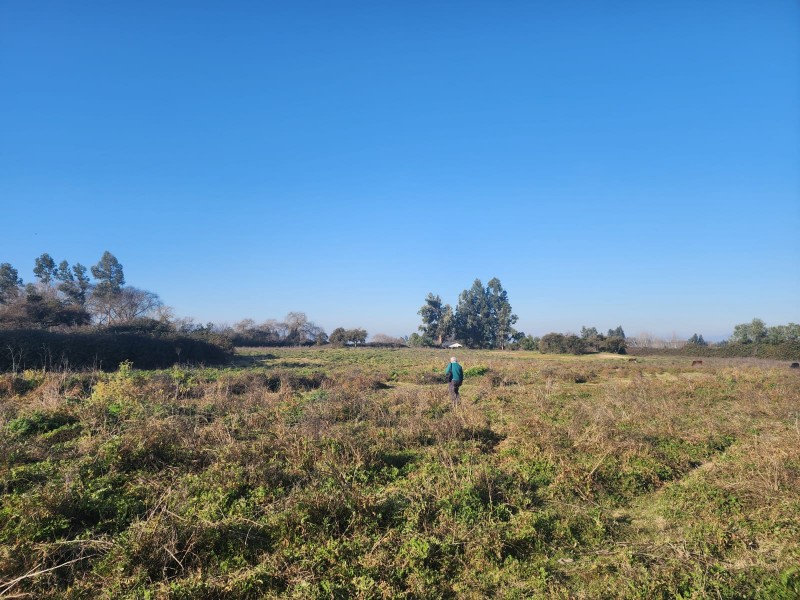 Parcela en venta en Peralillo — foto 6