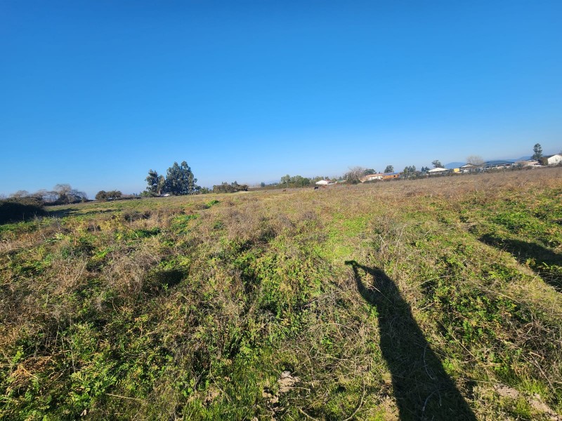 Parcela en venta en Peralillo — foto 7