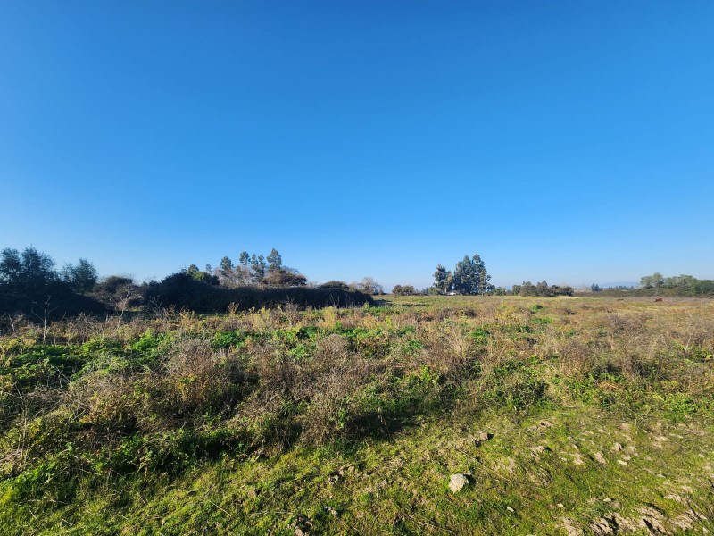 Parcela en venta en Peralillo — foto 8