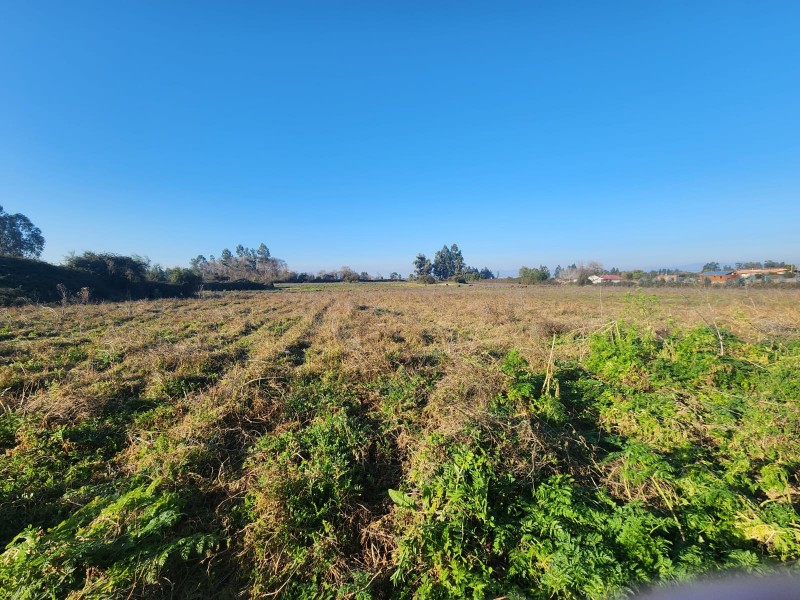 Parcela en venta en Peralillo — foto 9