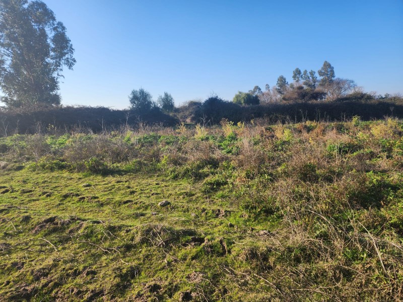 Parcela en venta en Peralillo — foto 10
