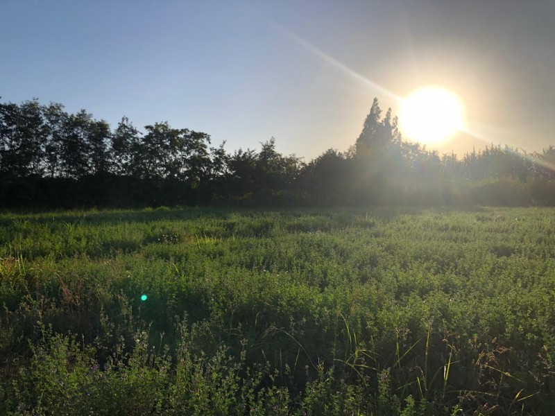 Terreno en venta en Codegua — foto 6