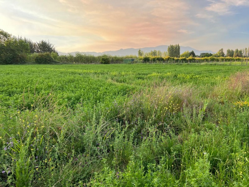 Terreno en venta en Codegua — foto 7