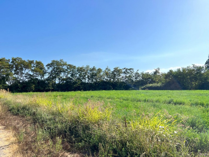 Terreno en venta en Codegua — foto 9