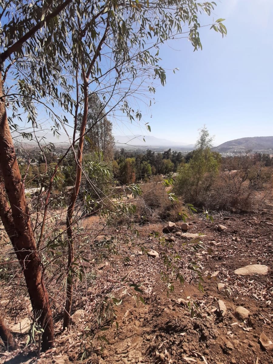 Parcela en venta en Machalí — foto 10