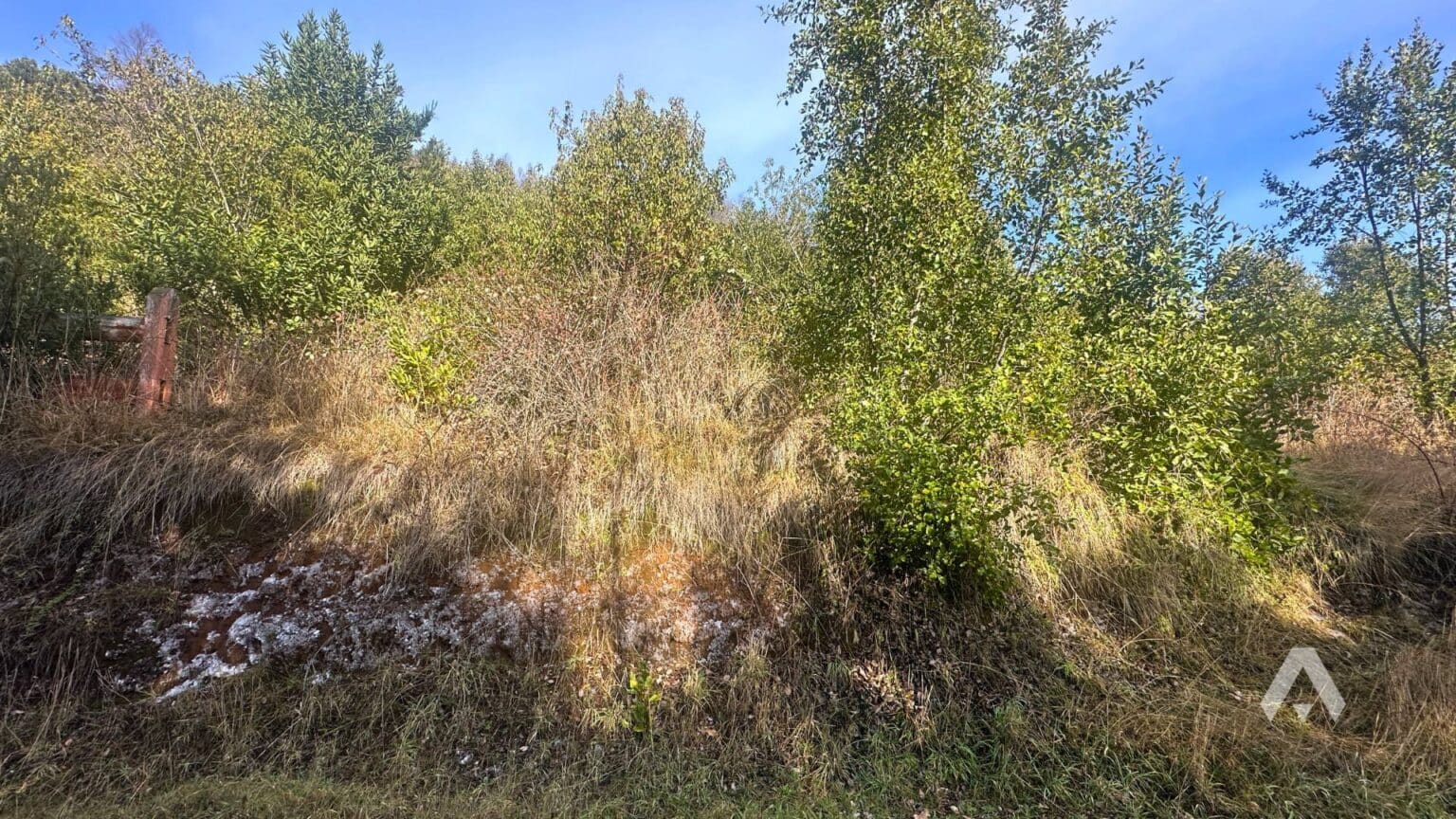 Parcela en venta en Pucón — foto 7
