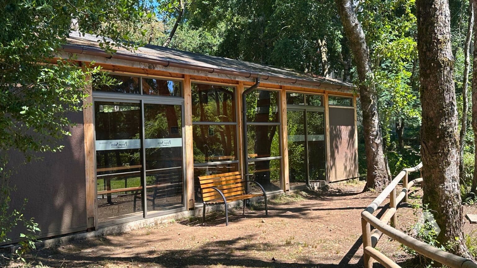Departamento en venta en Pucón — foto 3