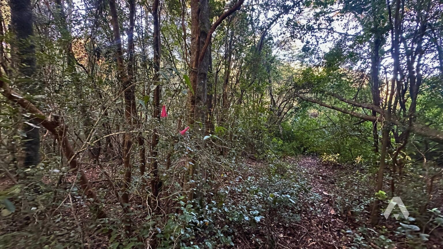 Parcela en venta en Pucón — foto 8