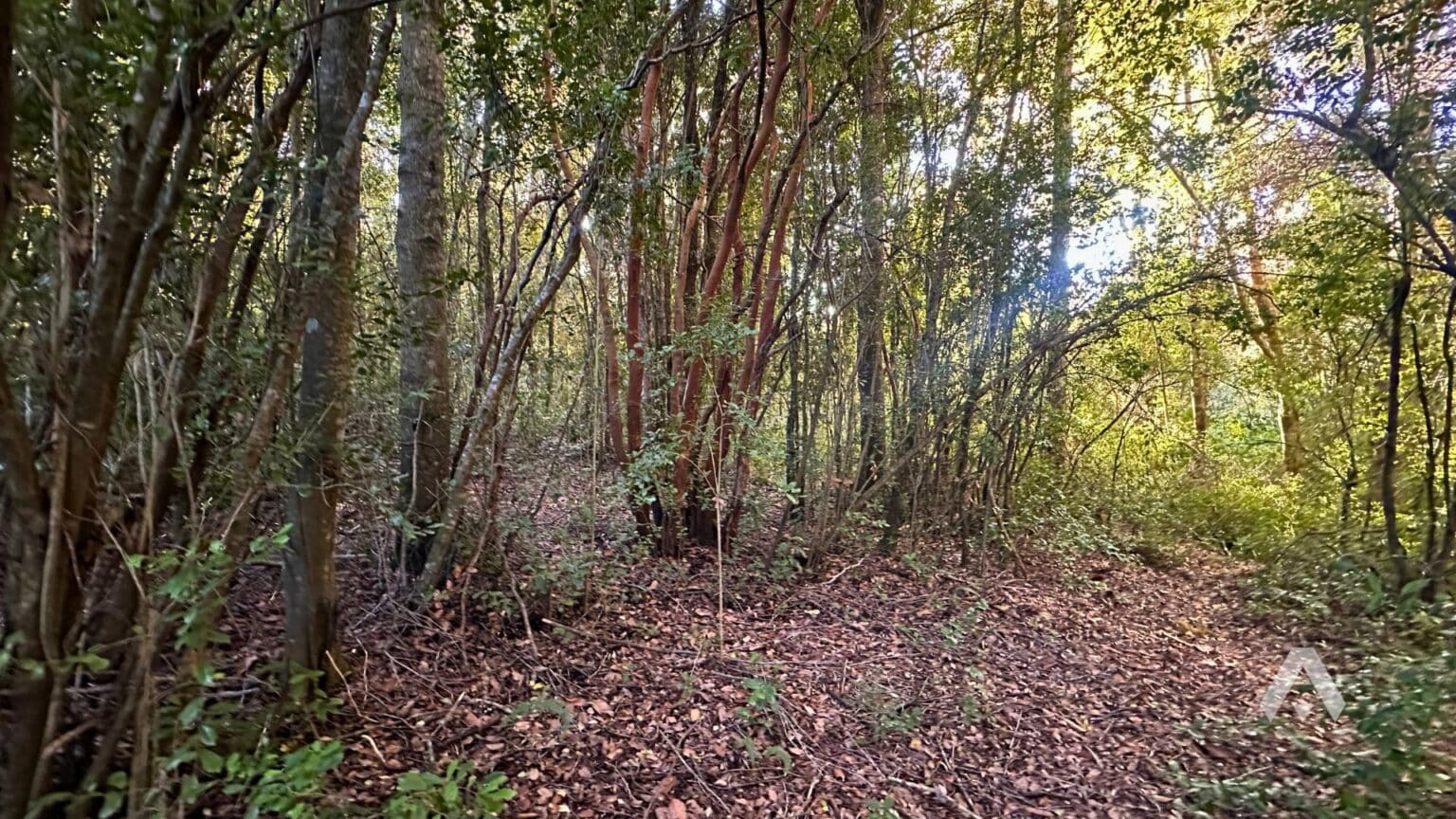 Parcela en venta en Pucón — foto 9