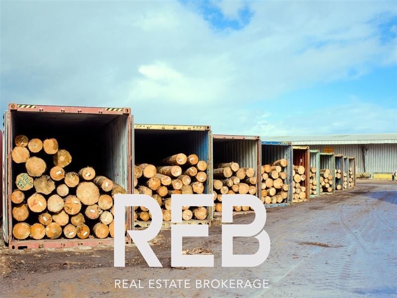 Terreno en venta en Coronel — foto 3