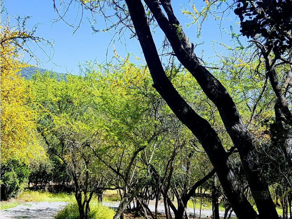 Parcela en venta en Paine — foto 1