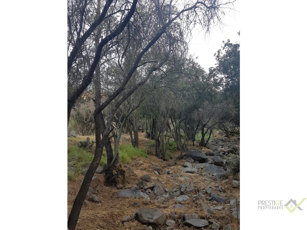 Parcela en venta en Paine — foto 4
