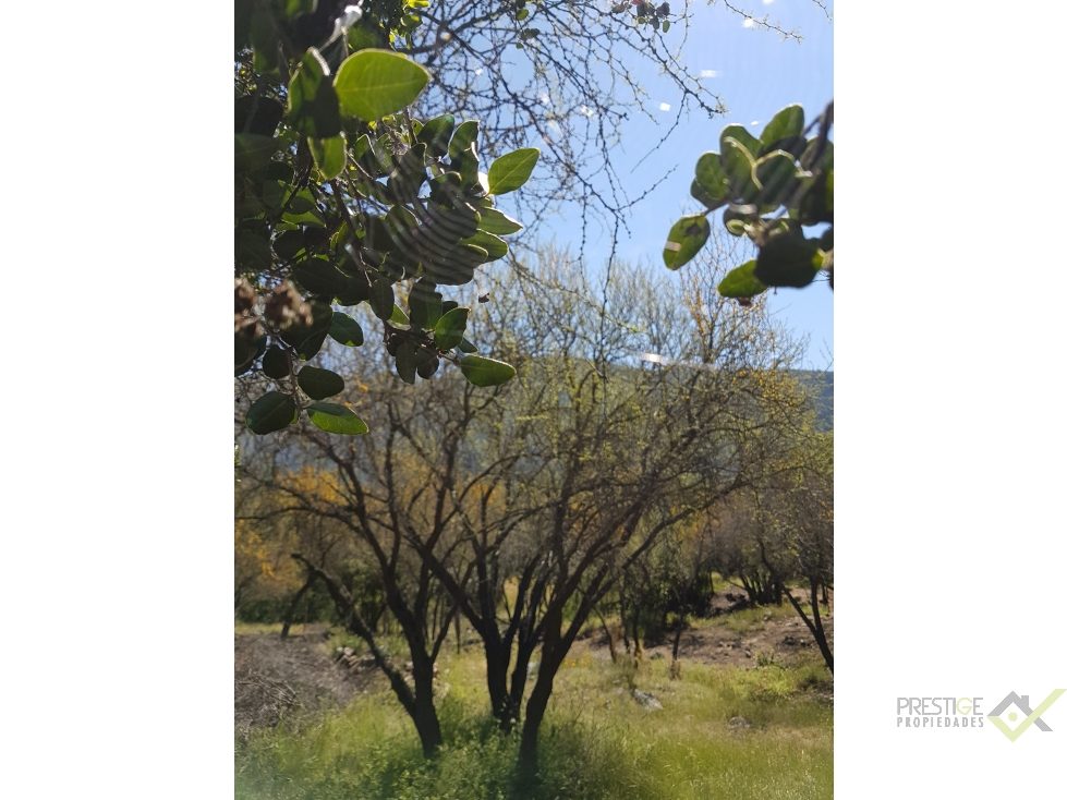 Parcela en venta en Paine — foto 5
