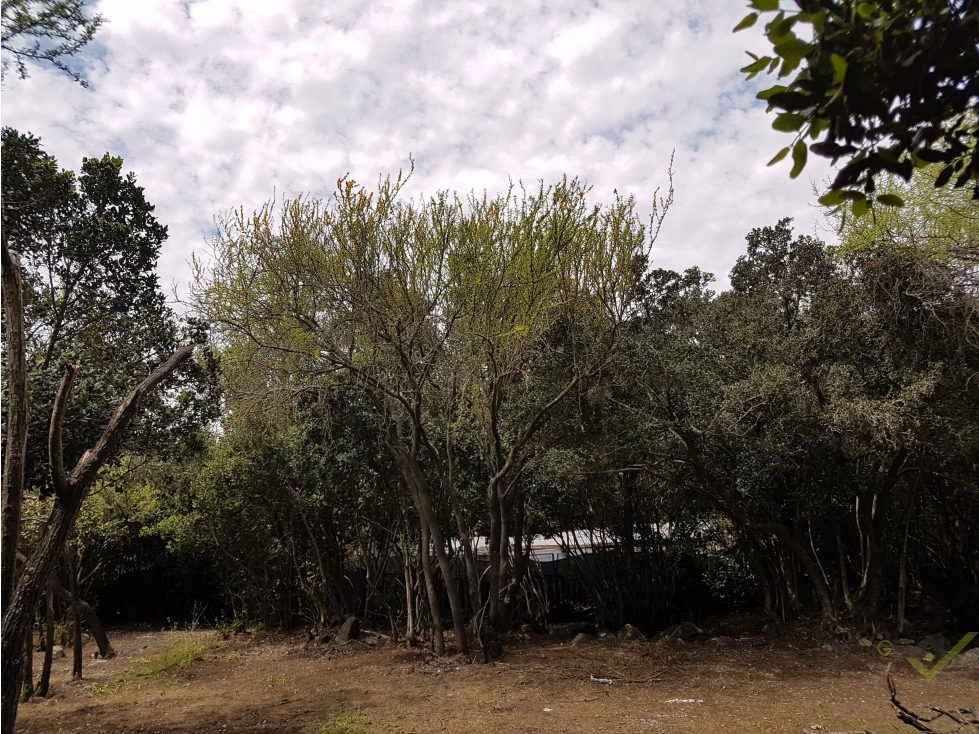 Parcela en venta en Paine — foto 6